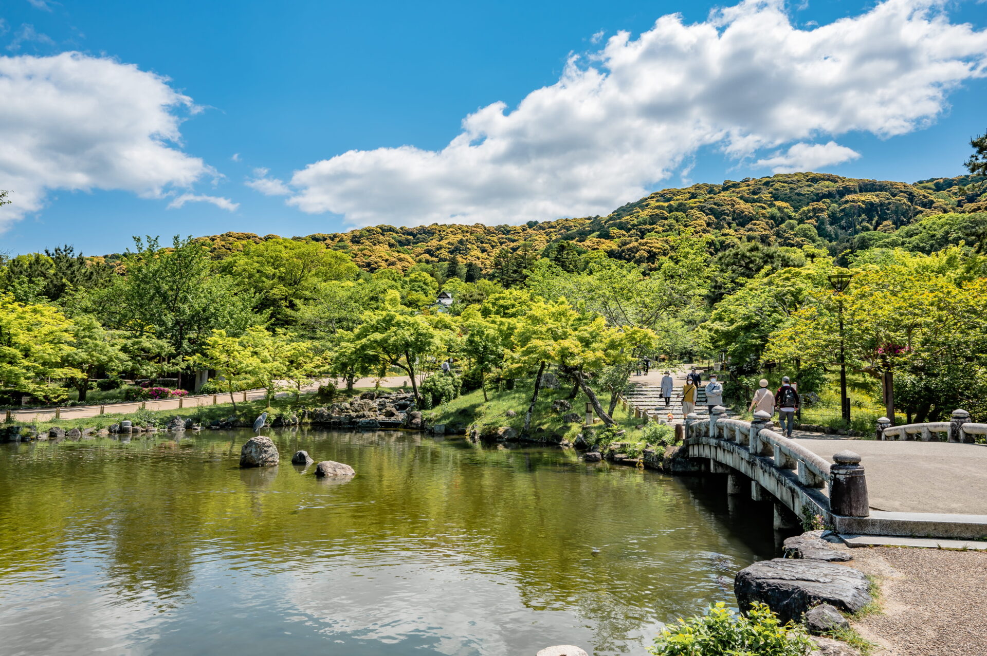 京都の円山公園付近でおすすめの着物レンタル業者3選