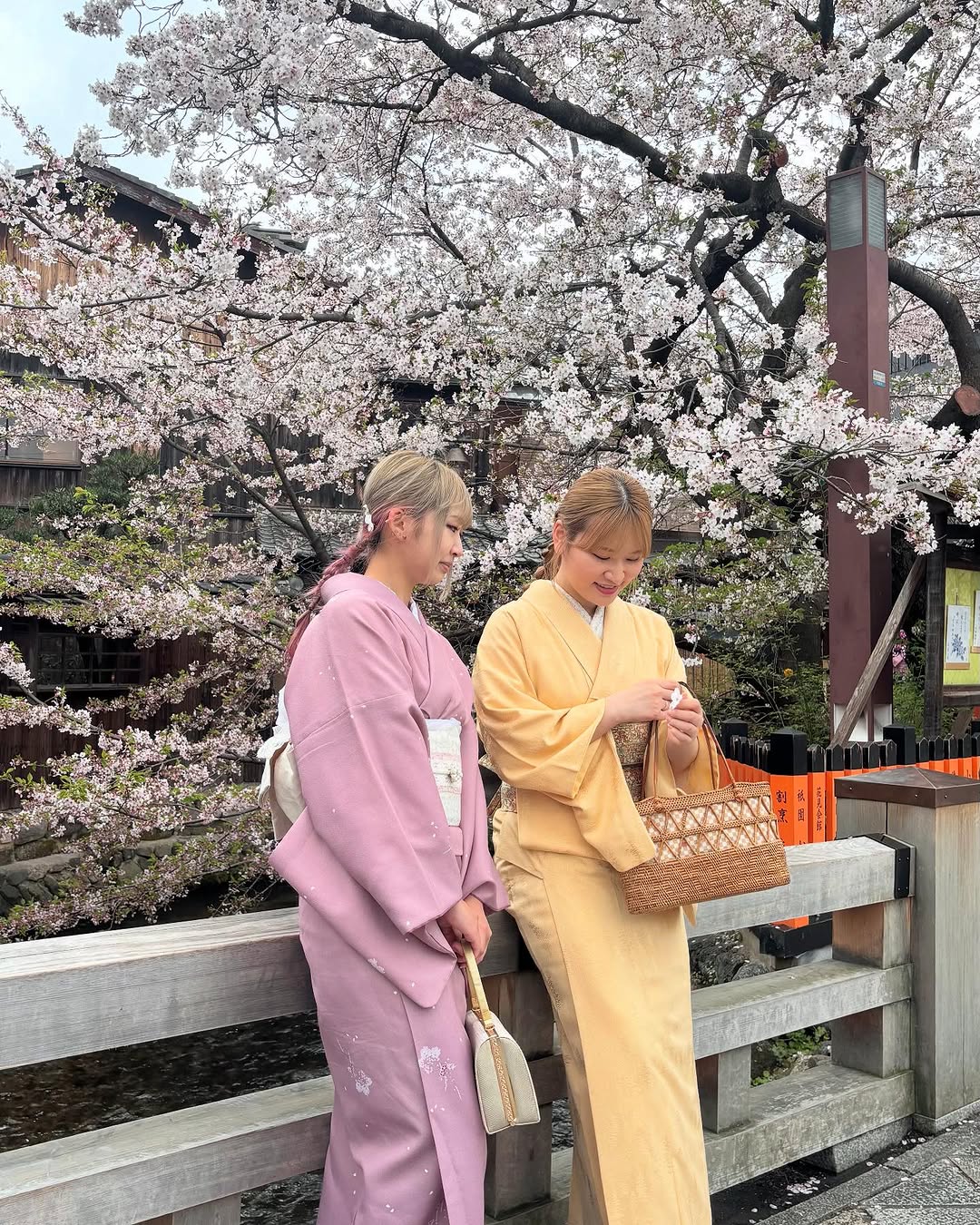京越の画像4